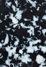 Orca Black & White